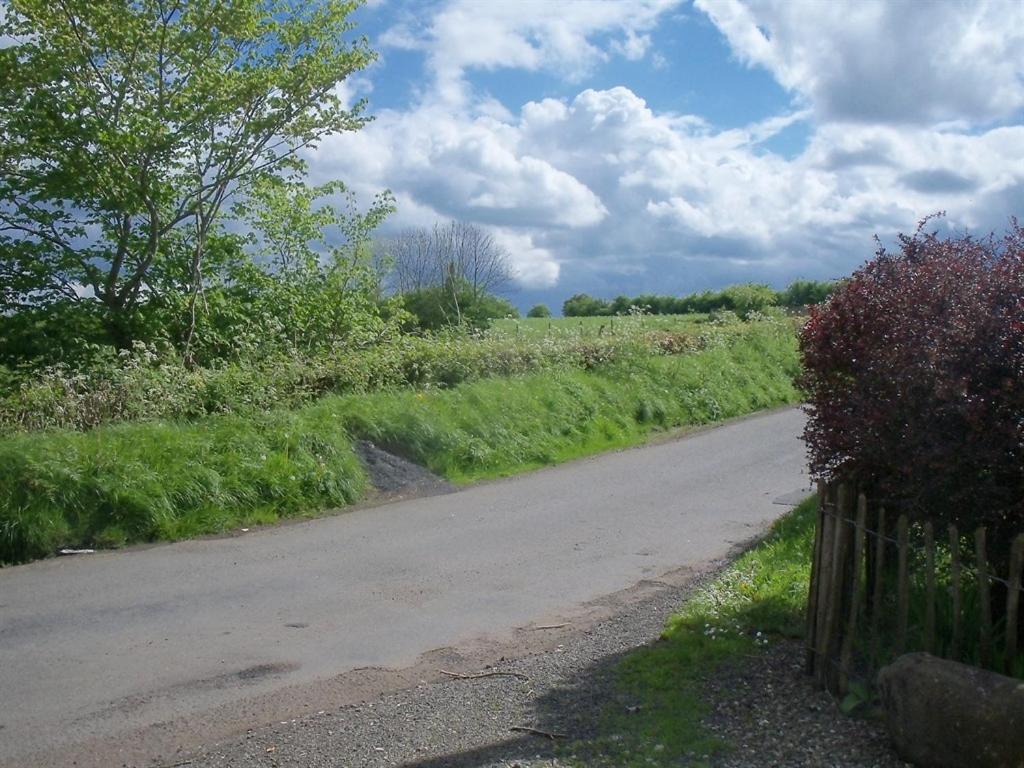 Lisnafillan Lodge Ballymena Esterno foto