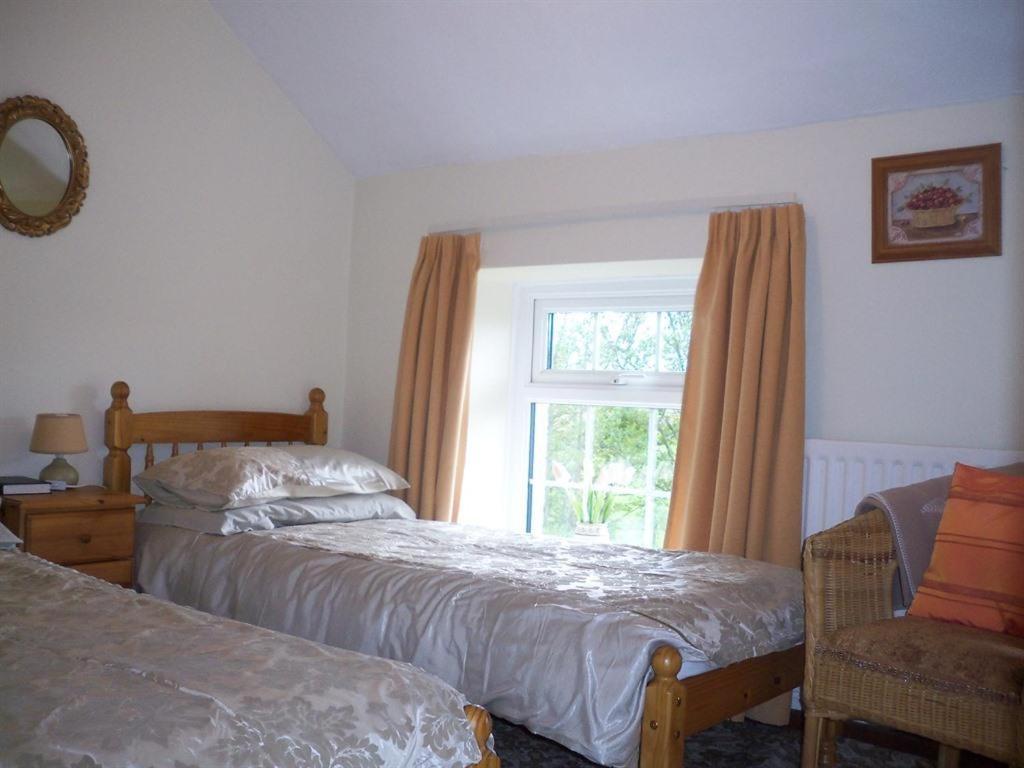 Lisnafillan Lodge Ballymena Esterno foto
